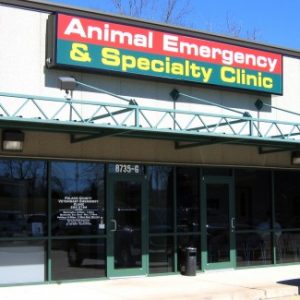 Animal-Emergency-Specialty-Clinic-Treatment-2-Web-2-434x325